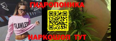 spice Анжеро-Судженск