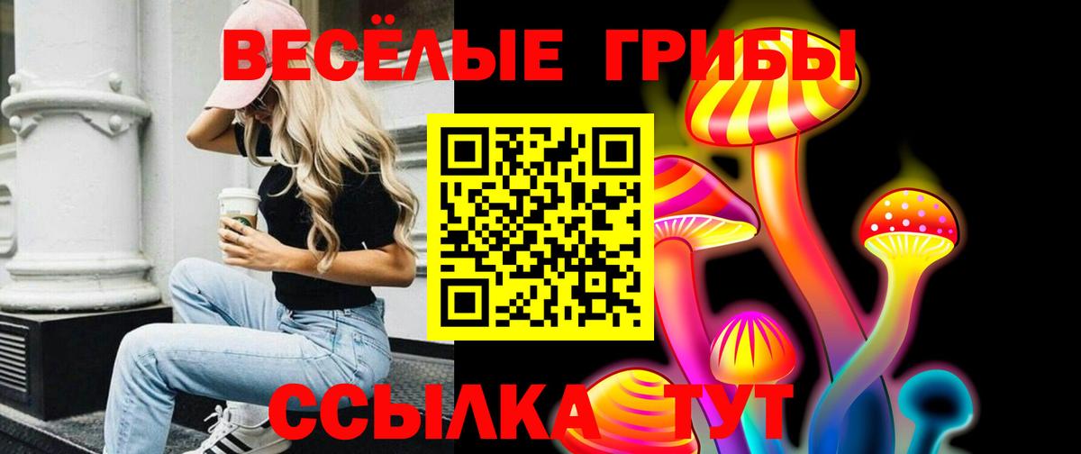 Грязи  Псилоцибиновые грибы MAGIC MUSHROOMS  Вход с VPN 